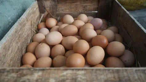 Perhitungan Telur untuk Membuat 150 Kue