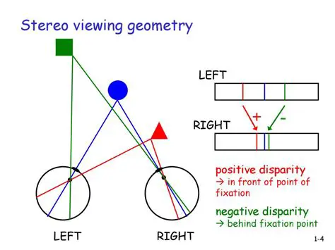 Perspective and Stereo Viewing