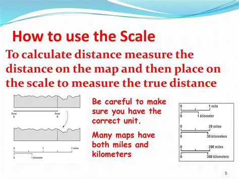 Place the scale on a flat surface
