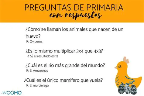 Preguntas y Respuestas sobre Ernestonadapor y la Piscina
