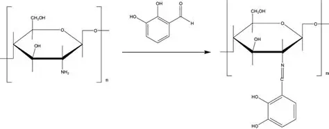 Preparation of Chitosan Glutaraldehyde Adsorbent