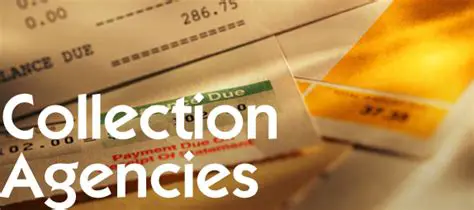 Professional Collection Agency