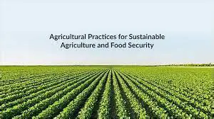 Promote environmentally friendly agriculture