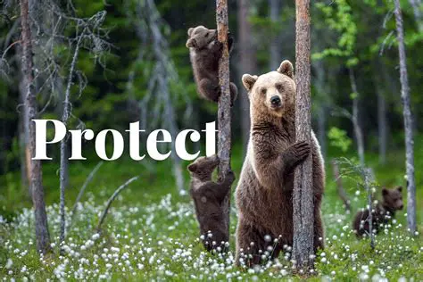 Protecting natural habitats