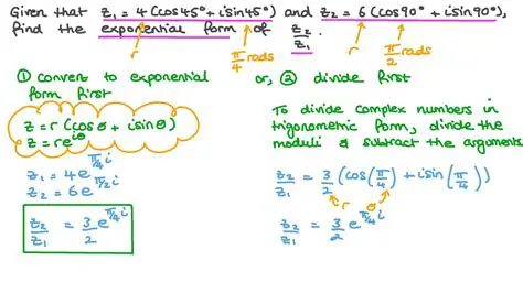 Quotient in Exponential Form