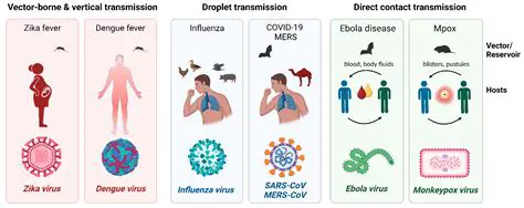 Reduced risk of infection transmission