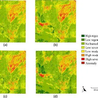 Regeneration of Burned Areas
