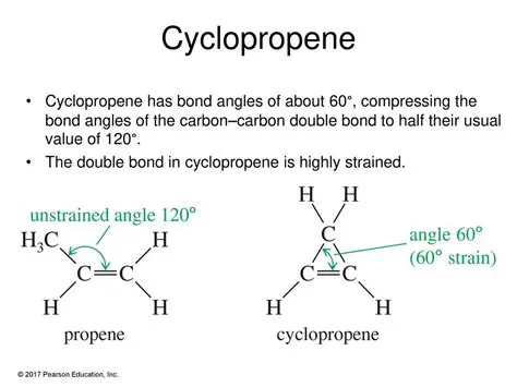 Relative Stability of the Cyclopropene Species