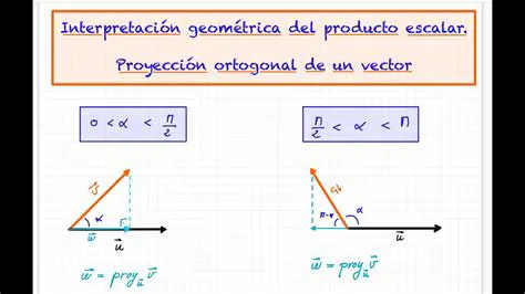REPRESENTA GRAFICAMENTE EL PESO DE LOS CUERPOS UTILIZANDO UNA ESCALA CONVENIENTE