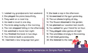 Rewrite the Sentence in Simple Past Tense