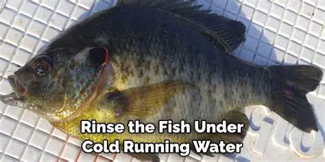 Rinse the fish under cold water