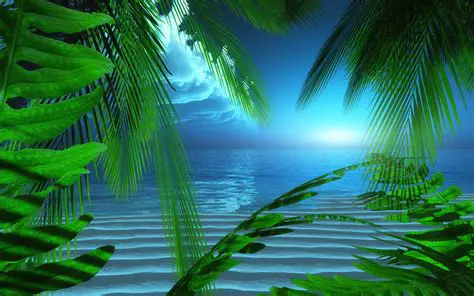 Screensavers and Wallpaper