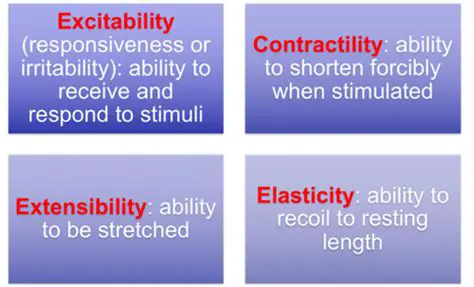 Scriptability and Extensibility