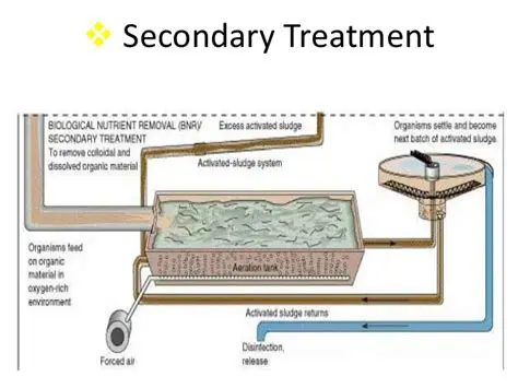 Secondary Sewage Treatment