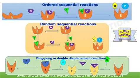 Sequential or Random Style