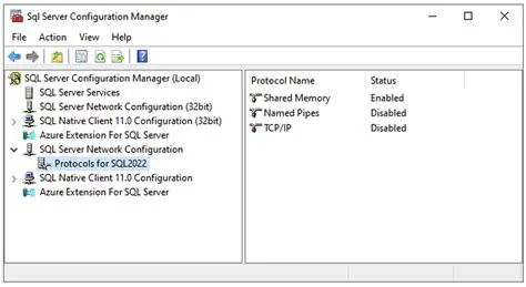 Server Selection and Configuration