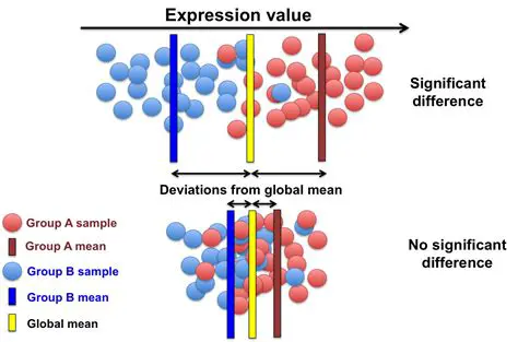 Significance of the Expression
