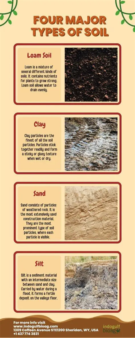 Soil Types and Their Characteristics
