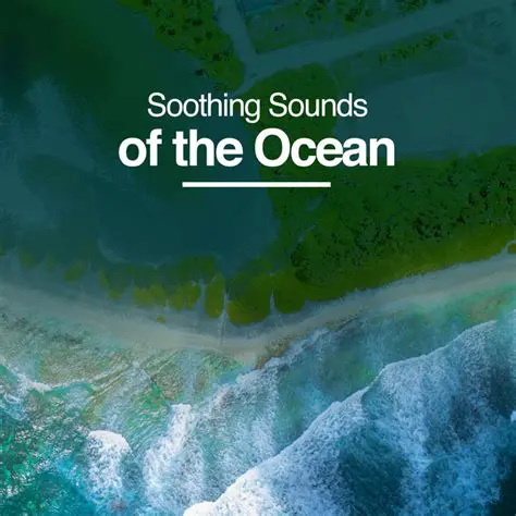 Soothing Sounds of the Ocean