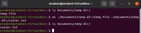 Start Ray with Custom Temp Dir