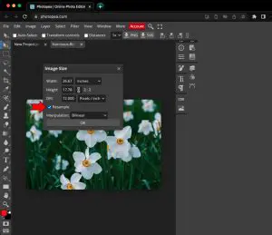 Support for a wide range of image formats