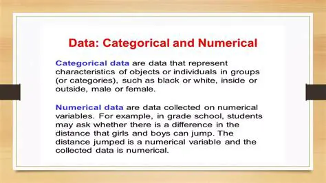 Support for numerical photographs