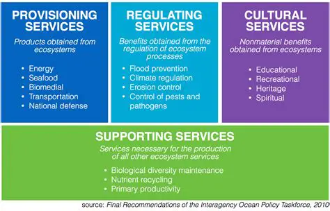 Supporting ecosystem services