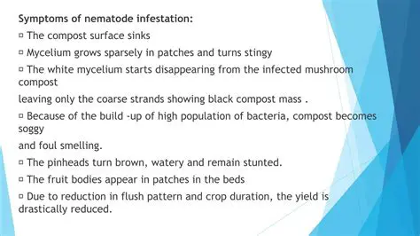 Symptoms of nematode infestation