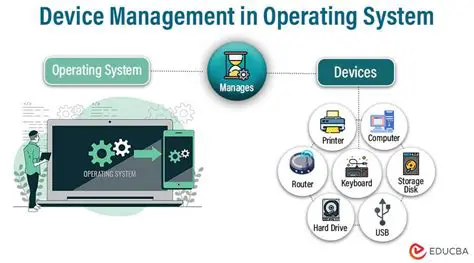 System and Device Information