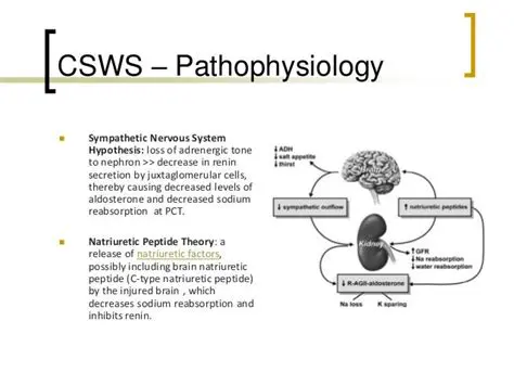 Take a more intensive approach to CSWs