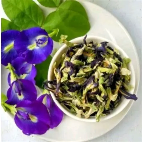 Telang Flower Concentrate Manufacturing