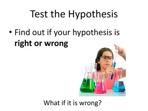 Tests to Find Out if the Hypothesis is Wrong