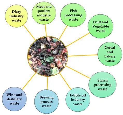 The Alarming Problem of Organic Waste