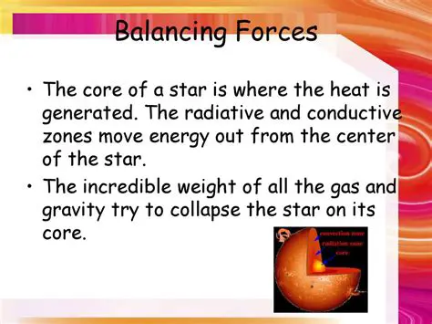 The Balance of Forces within a Star