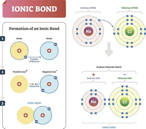 The Basics of Ionic Bonding