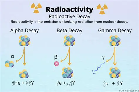 The Basics of Radioactive Decay