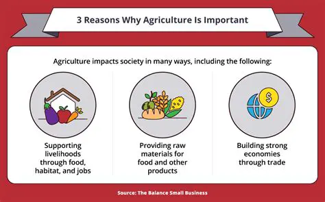 The Benefits of Agriculture