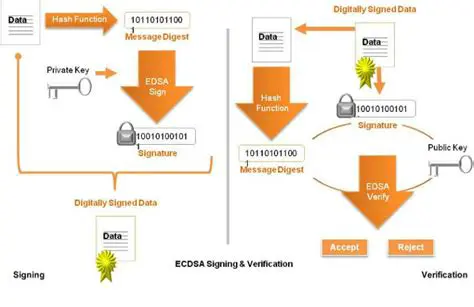 The Challenge of Verifying ECDSA Signatures