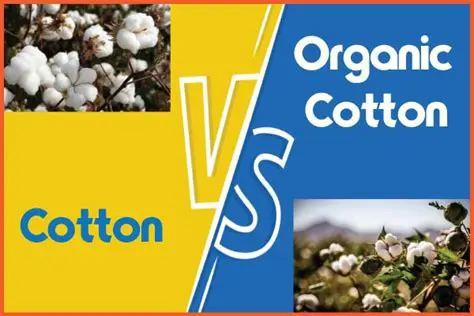 The Connection Between Cotton and Currency
