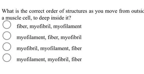 The Correct Order of Structures
