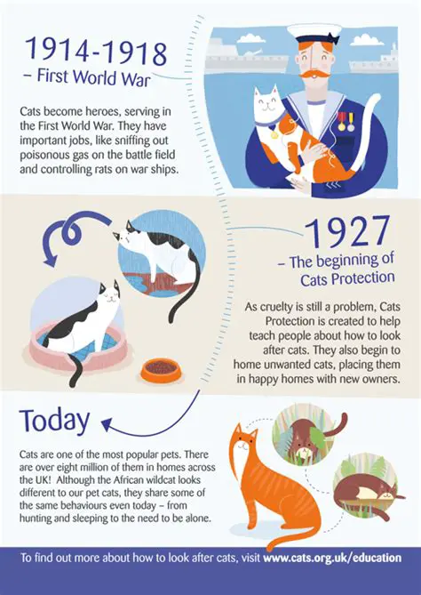 The Curious History of Cats