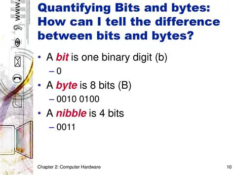 The Difference Between Bits and Bytes