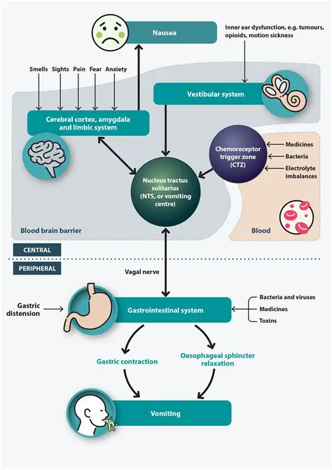 The Effectiveness of Acupressure for Nausea and Vomiting in Patients Who Receive Chemotherapy