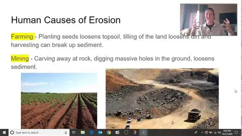 The Effects of Erosion on the Environment