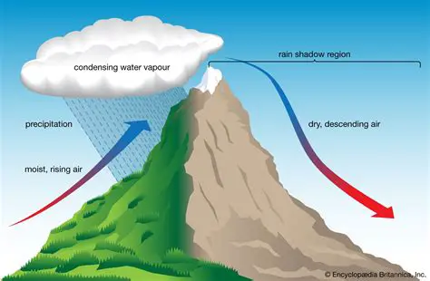The Effects of Rain and Wind on the Environment