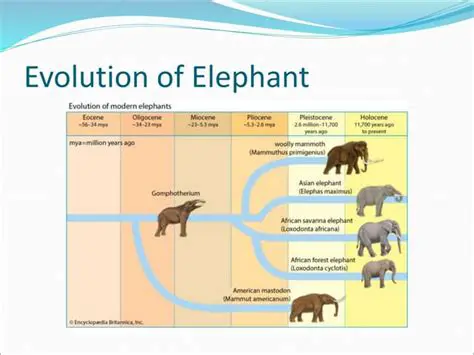 The Evolution of Elephants