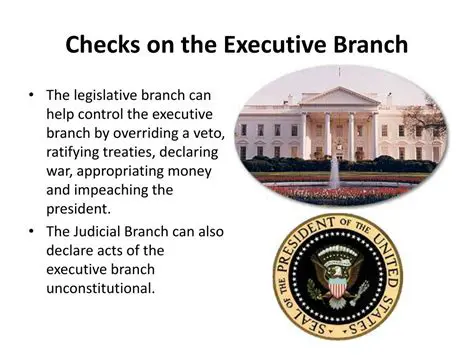 The Executive Branch checks the Judicial Branch