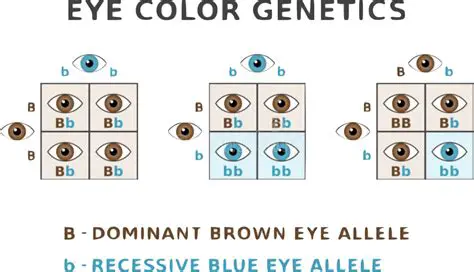 The Genetics of Color Variation