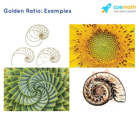The Golden Ratio in a Line Segment