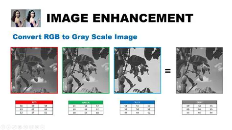 The grayscale format is more suitable for image processing tasks